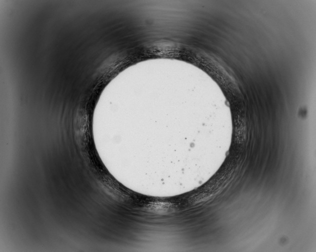 X0000103400748200810241010