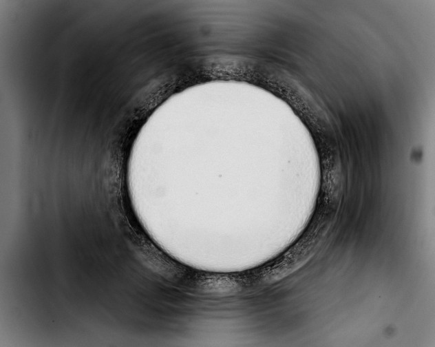 X0000103400749200810241010