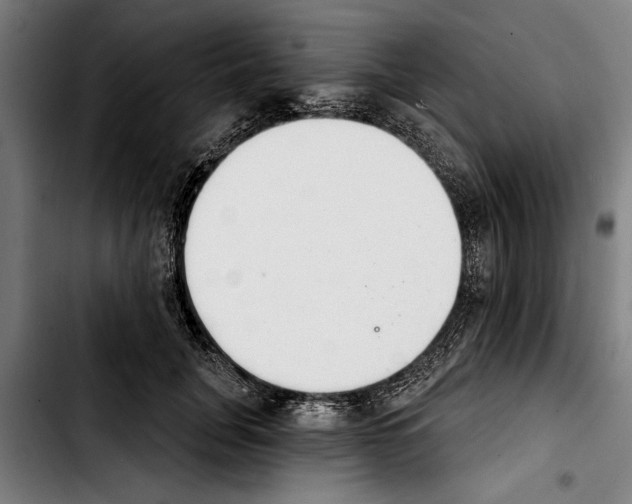 X0000103400751200810241010