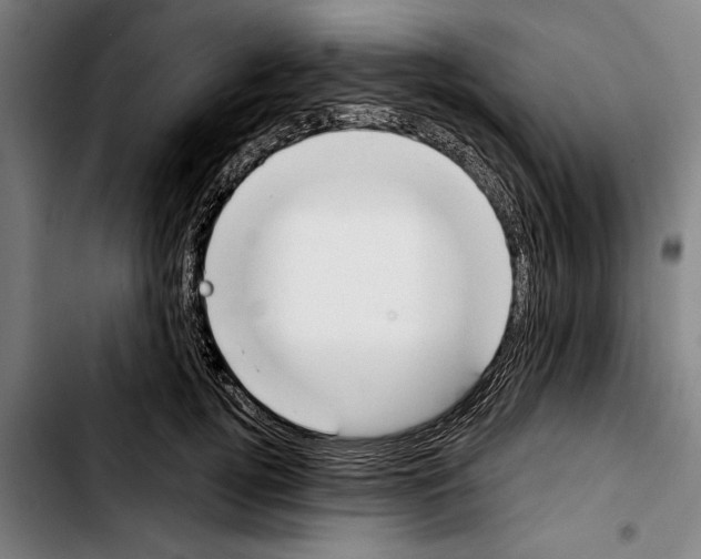 X0000103400752200810241010