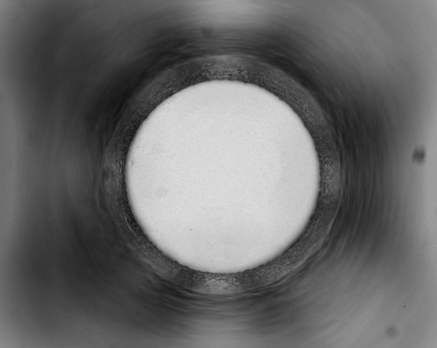 X0000103400753200810241010