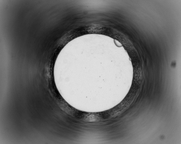 X0000103400755200810241010