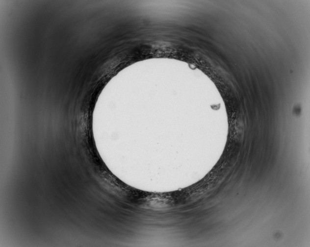 X0000103400756200810241010