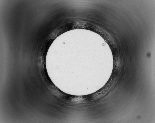 X0000103400759200810241010