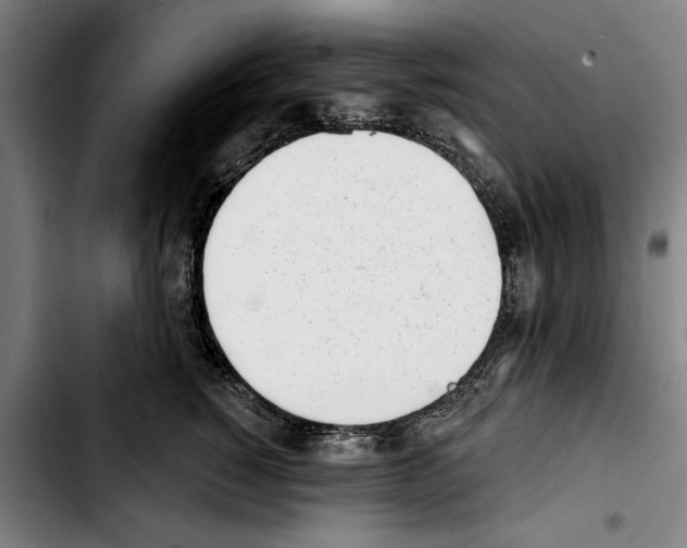 X0000103400760200810241010