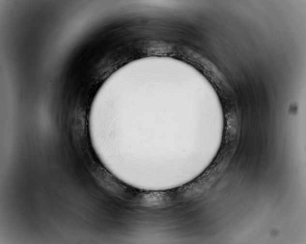 X0000103400761200810241010