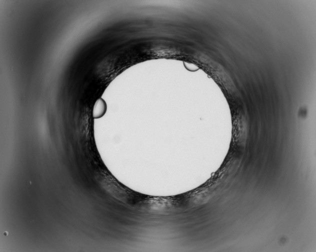 X0000103400762200810241010