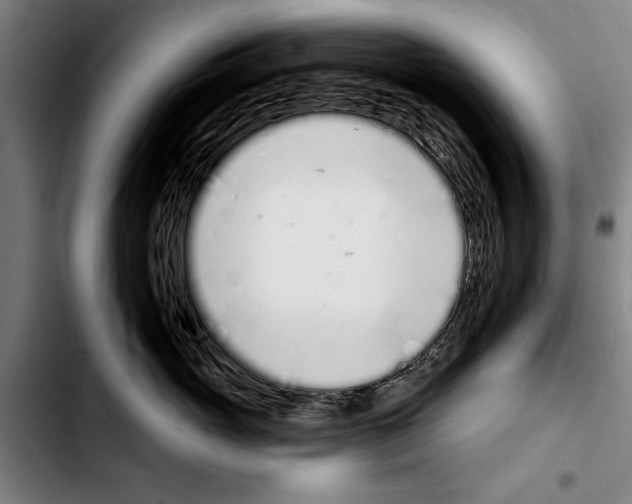 X0000103400765200810241010