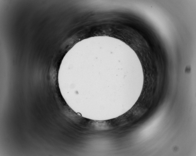 X0000103400767200810241010