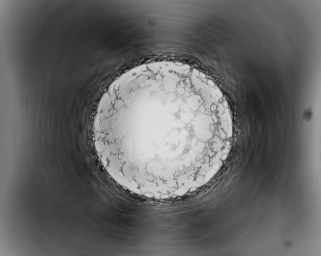 X0000103400769200810241010