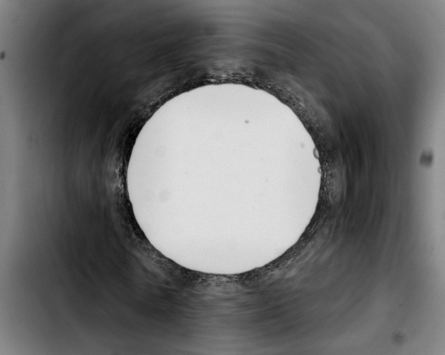 X0000103400770200810241010