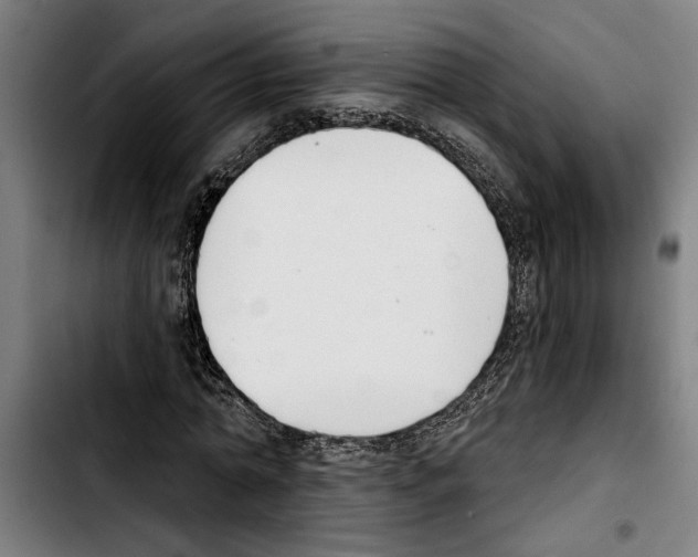 X0000103400774200810241010