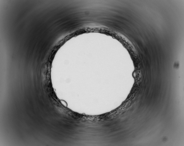 X0000103400775200810241010