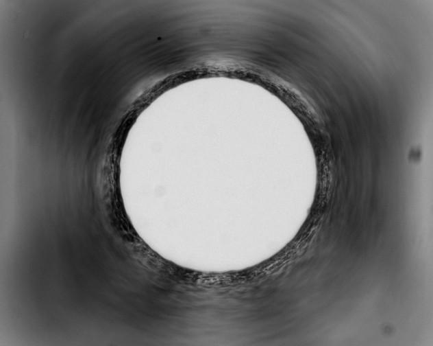 X0000103400776200810241010