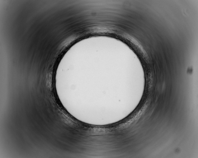 X0000103400777200810241010