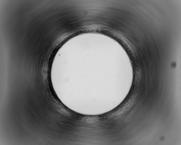 X0000103400778200810241010