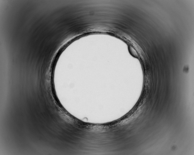 X0000103400779200810241010