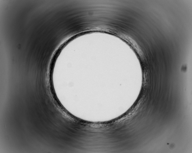 X0000103400780200810241010