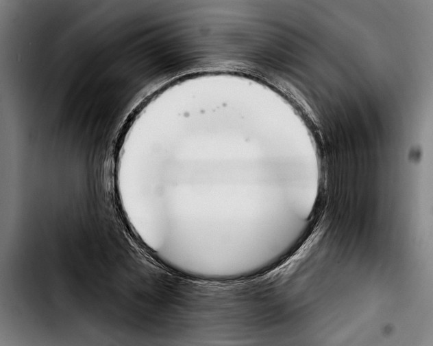 X0000103400781200810241010