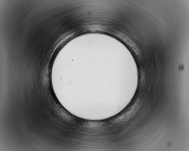 X0000103400782200810241010