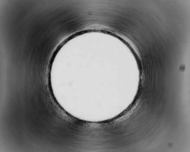 X0000103400783200810241010