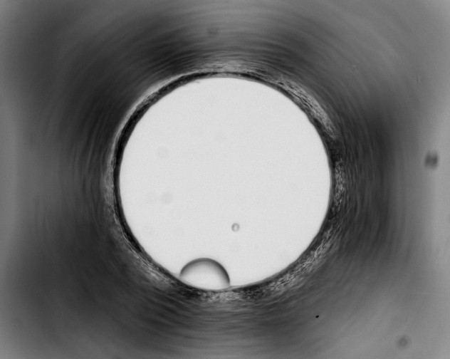 X0000103400784200810241010