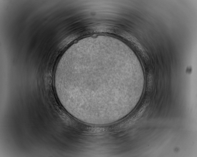 X0000103400785200810241010