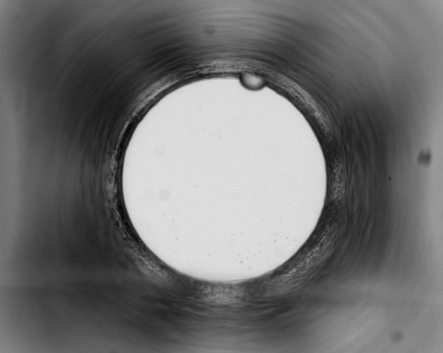 X0000103400786200810241010