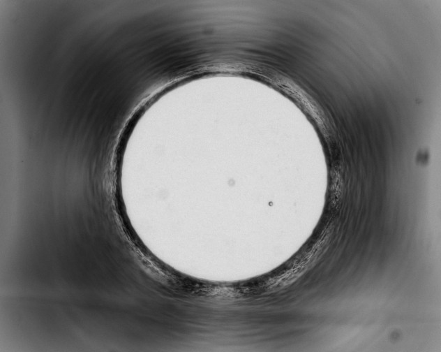 X0000103400787200810241010