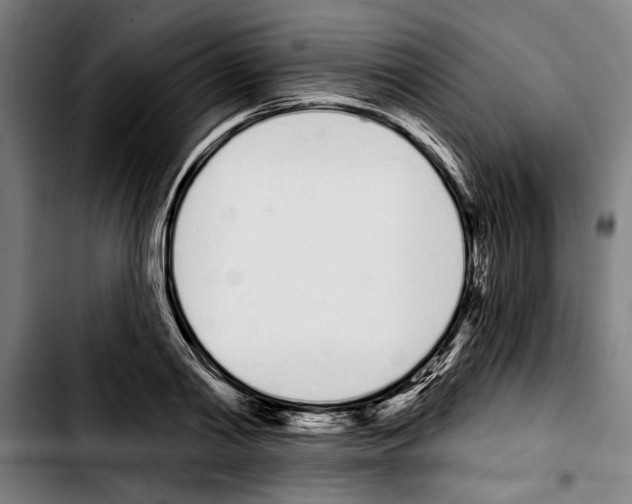 X0000103400790200810241010