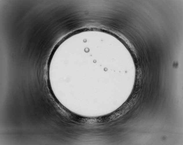 X0000103400791200810241010