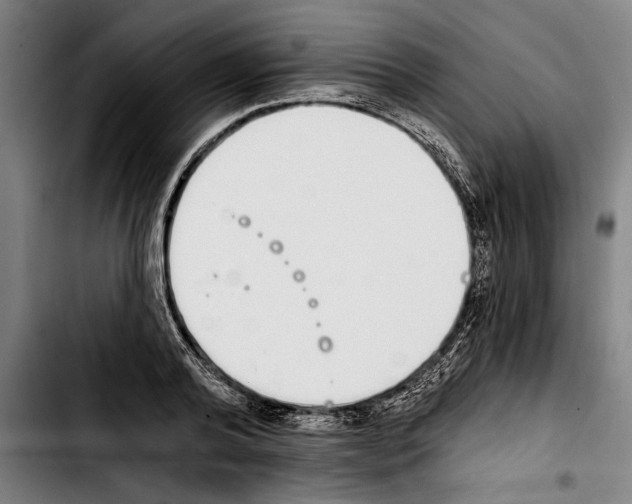 X0000103400792200810241010