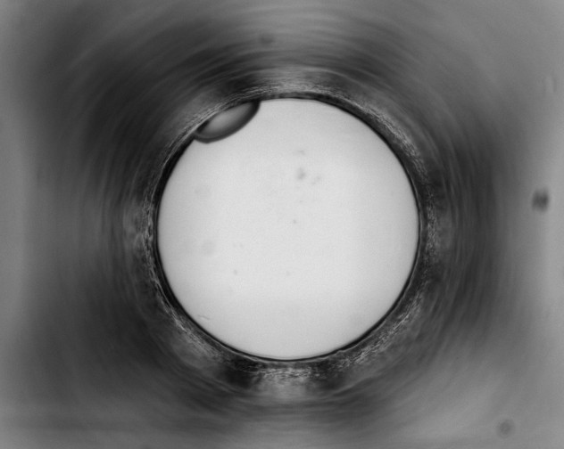 X0000103400793200810241010