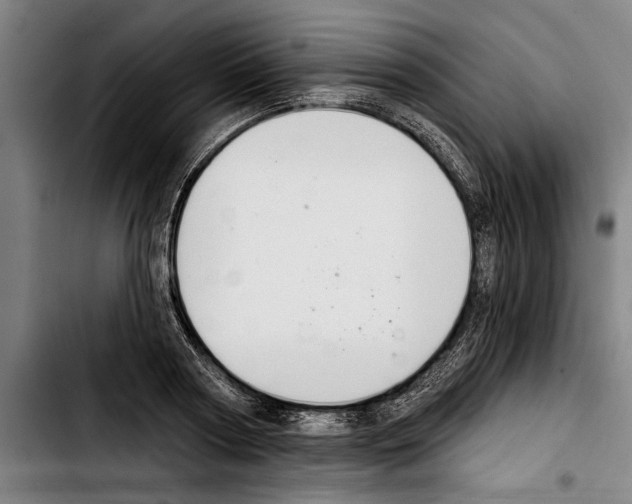 X0000103400794200810241009