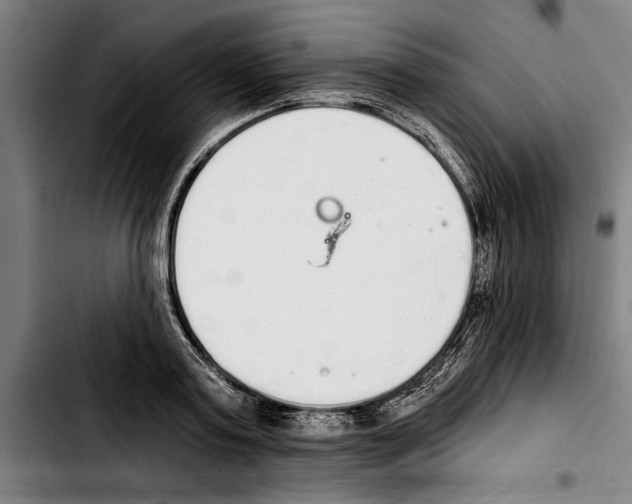 X0000103400795200810241009