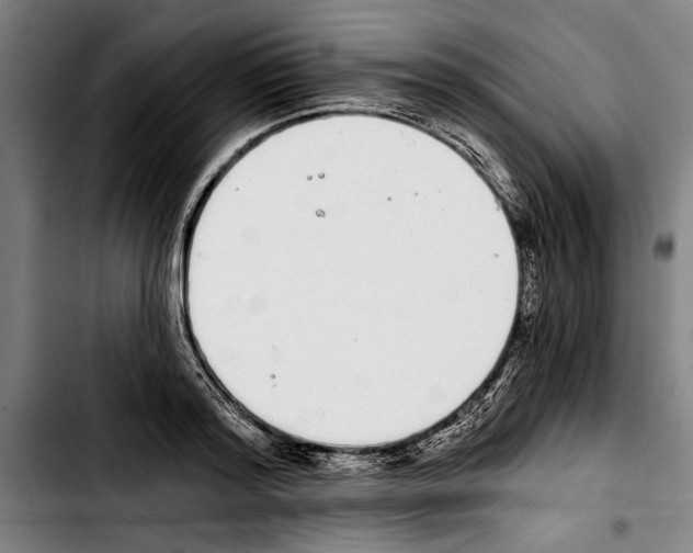 X0000103400796200810241009