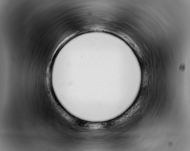 X0000103400798200810241009