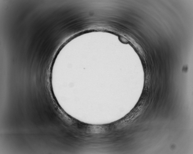 X0000103400799200810241009