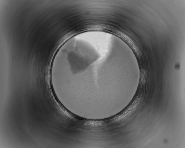 X0000103400802200810241009