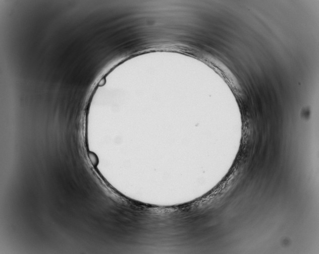 X0000103400804200810241009