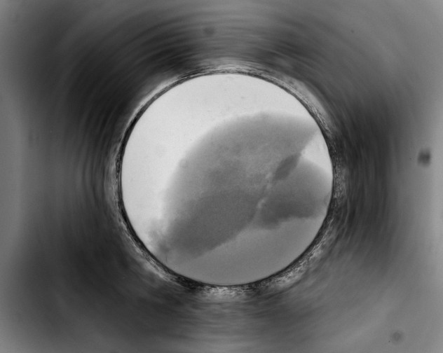 X0000103400806200810241009