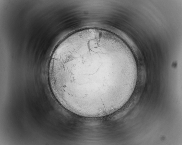 X0000103400807200810241009