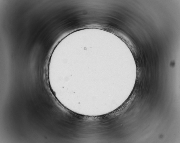 X0000103400808200810241009