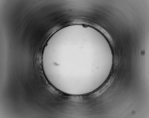 X0000103400809200810241009