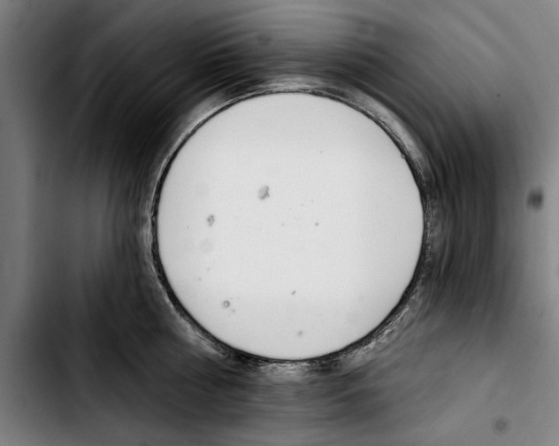 X0000103400810200810241009