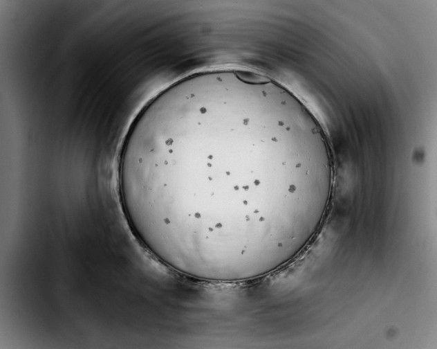 X0000103400813200810241009