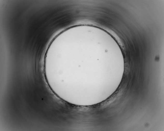 X0000103400815200810241009