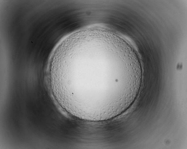 X0000103400816200810241009