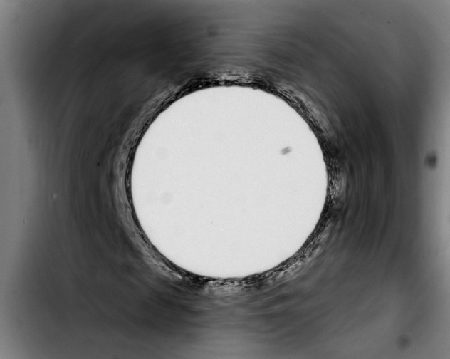 X0000103400817200810241009