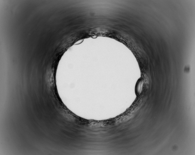 X0000103400818200810241009